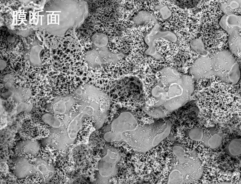 PT游戏烧结管式膜电镜照片