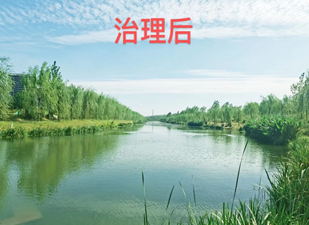 PT游戏(中国区)最新IOS/安卓版/手机版APP下载